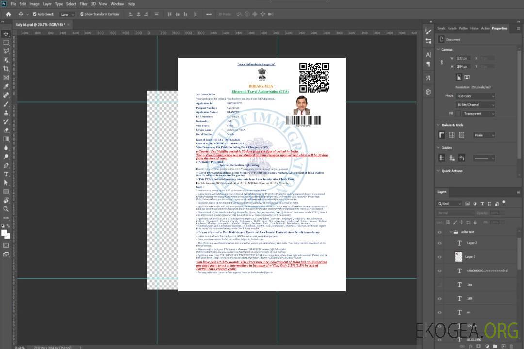 Visa électronique pour l'Inde en modèle Word et PDF template Visa électronique pour l'Inde en modèle Word et PDF template